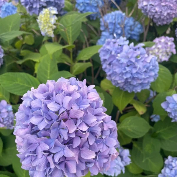やっと✨