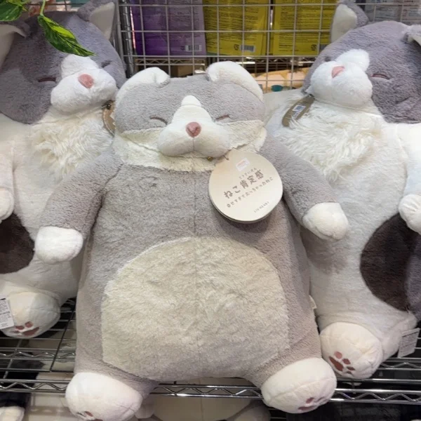 モフモフな季節🧸