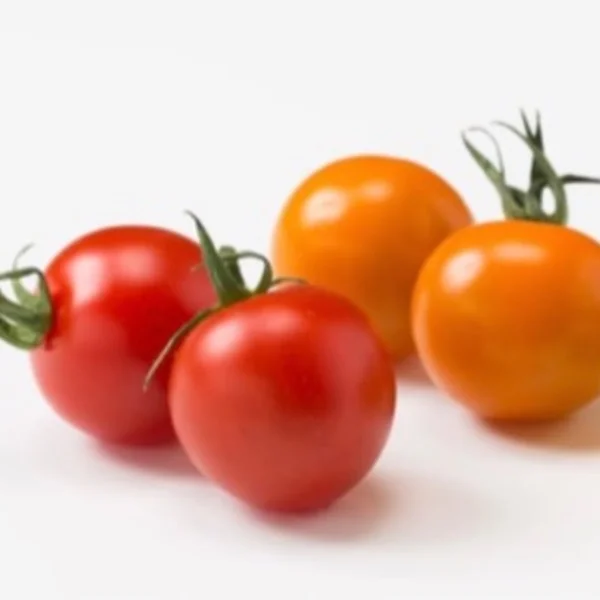 🍅🍅ミニトマト🍅🍅