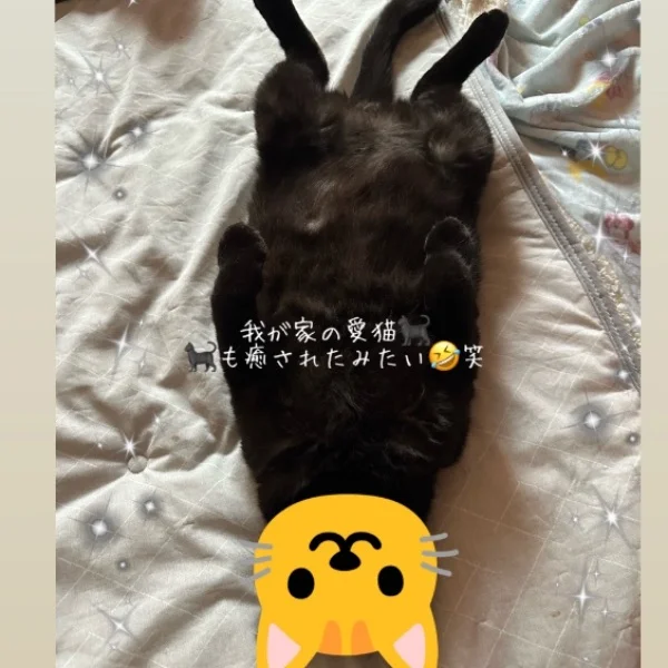 出勤のお知らせ⋆͛📢⋆☆*。