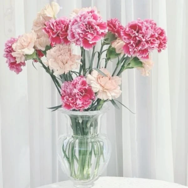 感謝💐