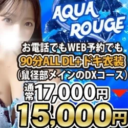 ALLDL90分ドキ衣装が15000円...