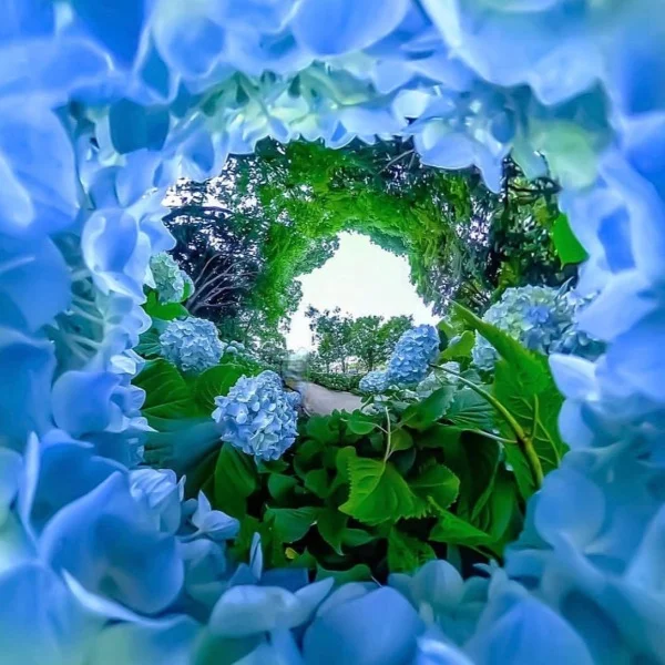 今日から４日間の出勤✩*॰