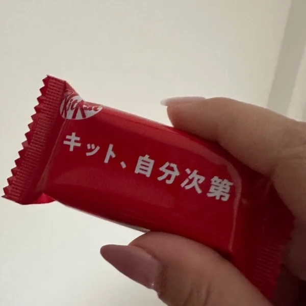 一息のお供🌿.•*