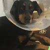 あるるかん