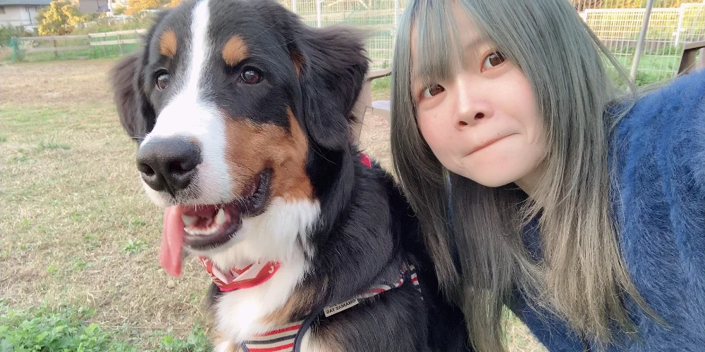 SPA Berneseのカバー画像