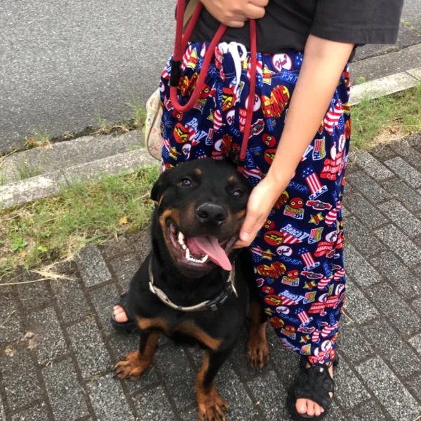 本日おやすみに変更になりました💦