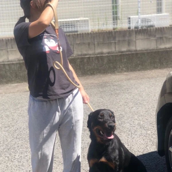 動物病院🐶