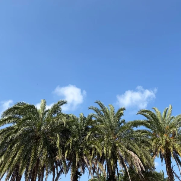 今日も11時〜ラストまで！