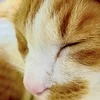 お店選びについて大事なこと。のサムネイル