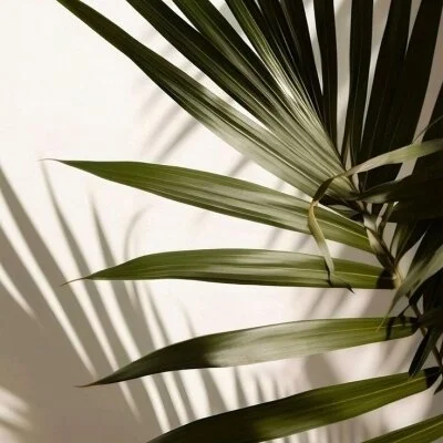 豊橋メンズエステMareのメリットイメージ(3)