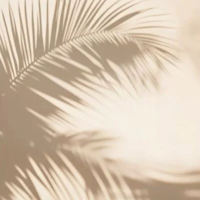 お店の特徴その1