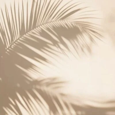 お店の特徴その2