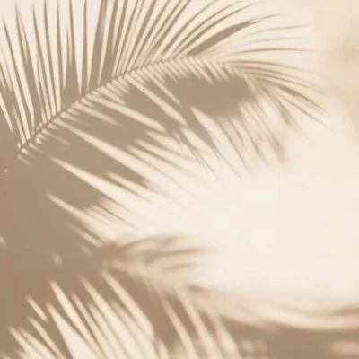 お店の特徴その3