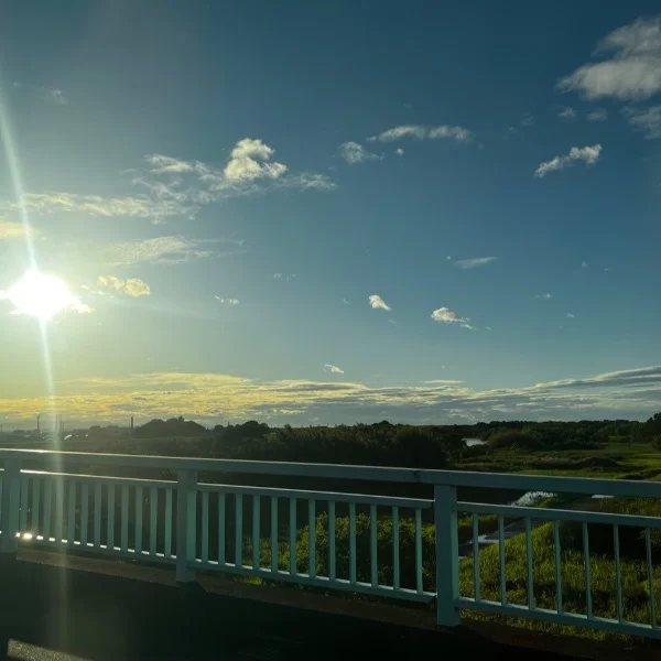 出勤しました！！