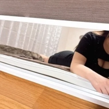 白旗ゆき>の写真