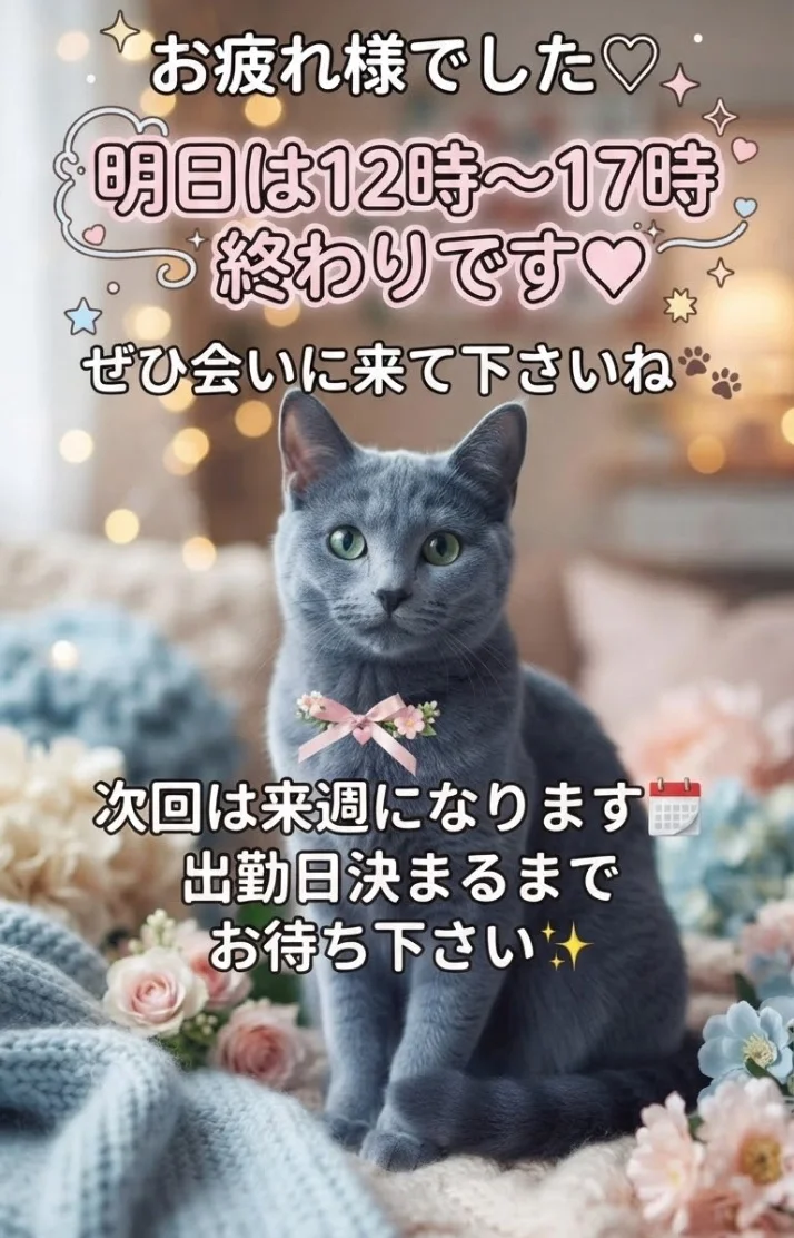 明日もいますよ🩵