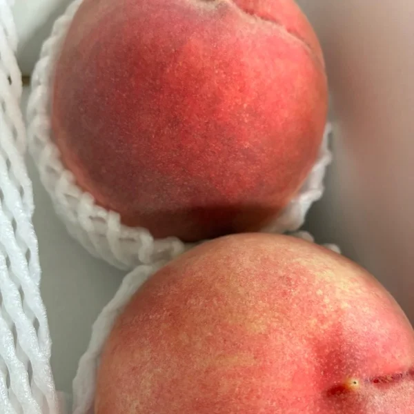 ありがとうー♡♡