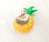 働きやすさをとことん追求✨ルーム環境にも自信あり♪ のサムネイル