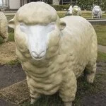 採用担当の採用担当者さん