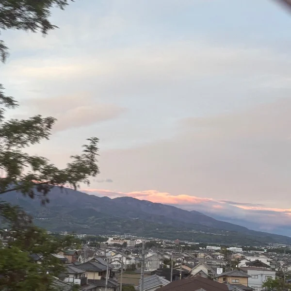 本日出勤しました🌼