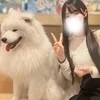 白鳥みふゆ