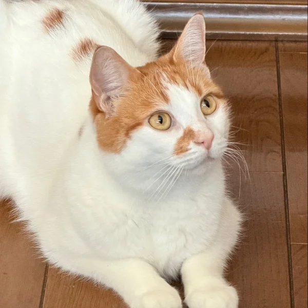 来週19日から出勤しますよ😘