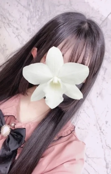 ちわっくす