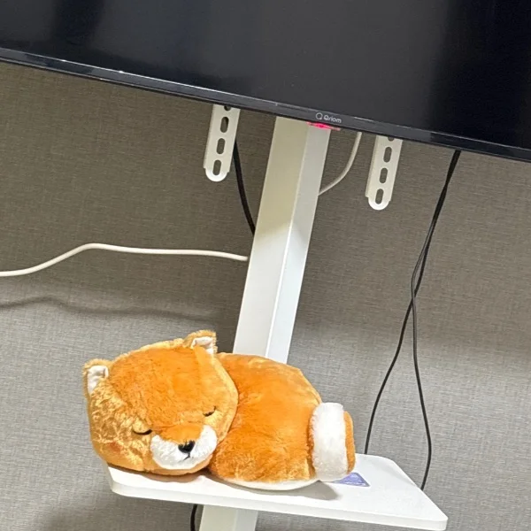 ありがとうございました🌞