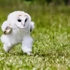 1日絶対接客！！お客様が溢れてます💦のサムネイル