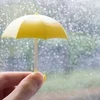 雨の前の。のサムネイル