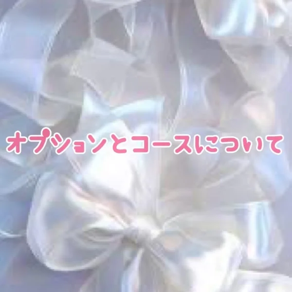 人気コースとオプション