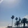 るい