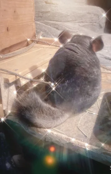 るい