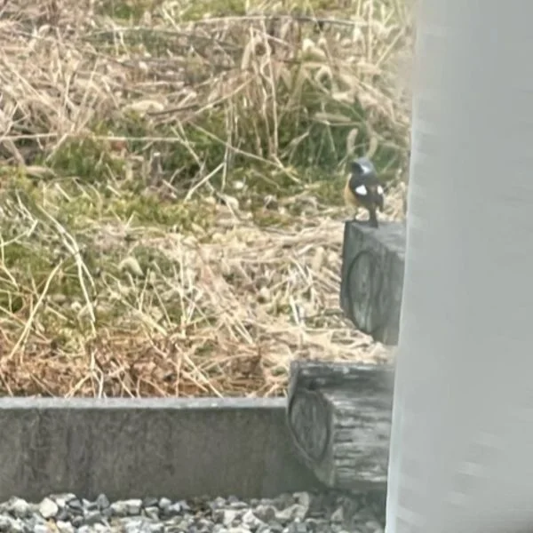 のんびり過ごしてます💭
