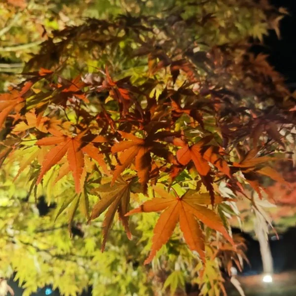 一緒に気持ちく♡