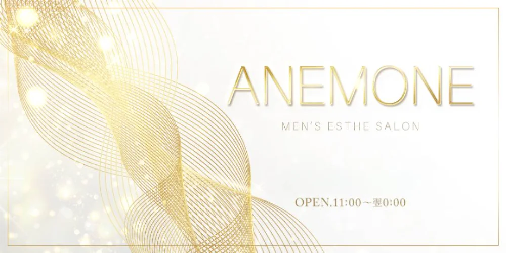 ANEMONE〜アネモネ〜のカバー画像