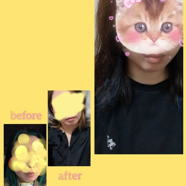 今回辞めた😺💦