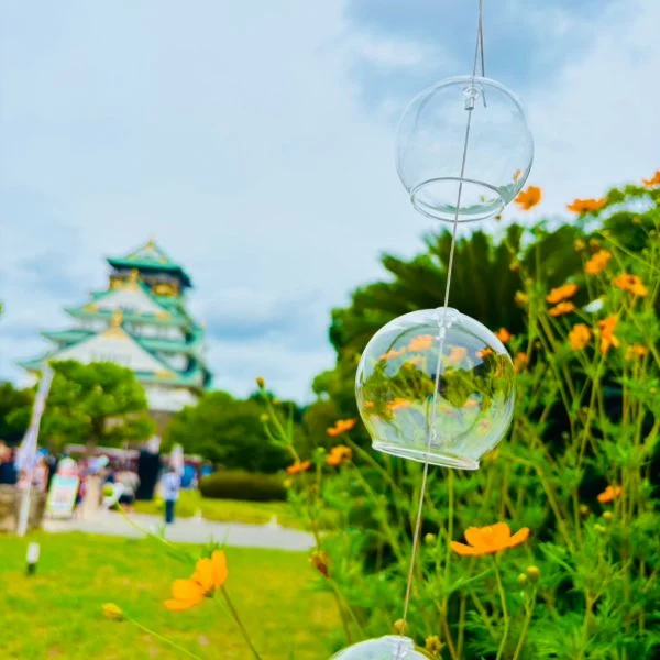 おはようございます🌞
