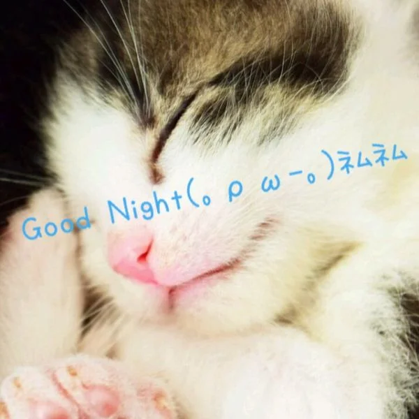 おやすみなさい😴
