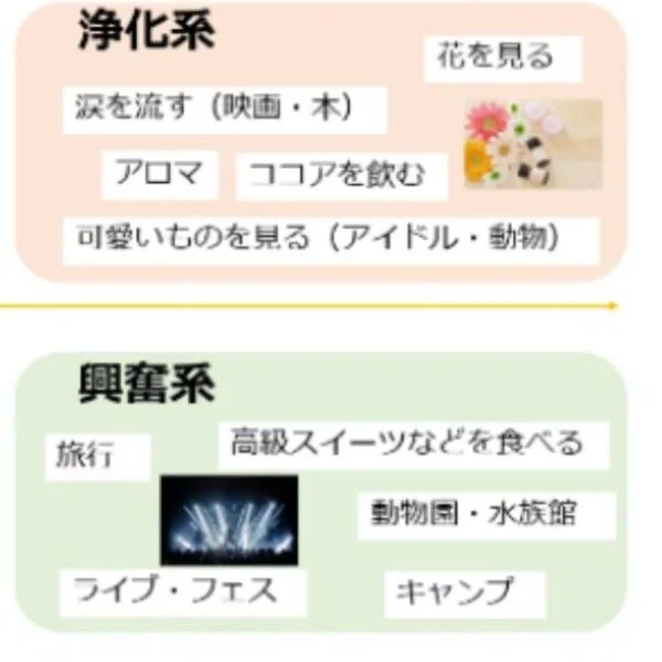 皆さんの癒しは、どれですか？