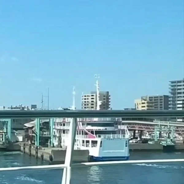 落ち着く居場所🏝️🌼