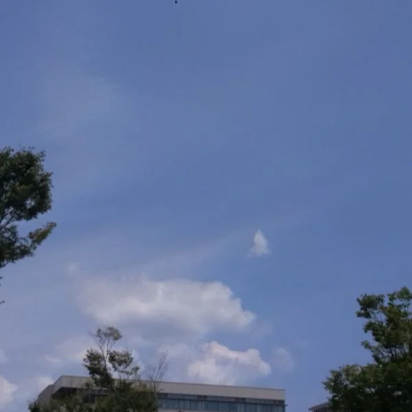 おはようございます。