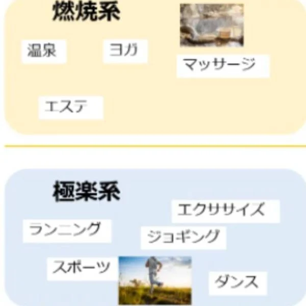癒しのタイプは？🤩