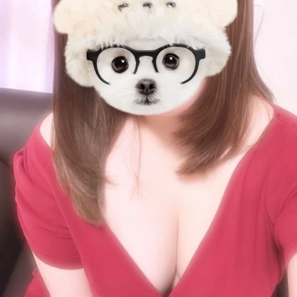 本日急遽❣️