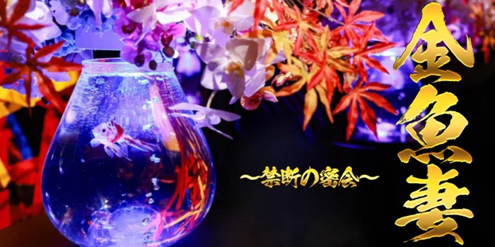 金魚妻 千歳・苫小牧店