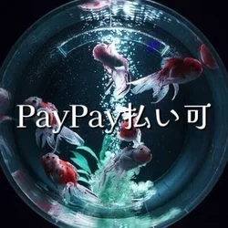 🉐お得なクーポン情報❤️