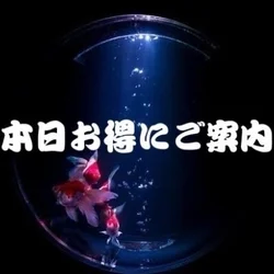 【限定】クーポン発行中❤️