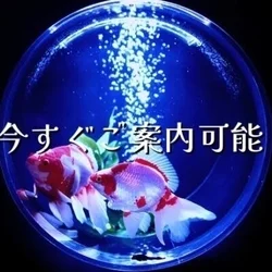 🉐お得なクーポン情報❤️