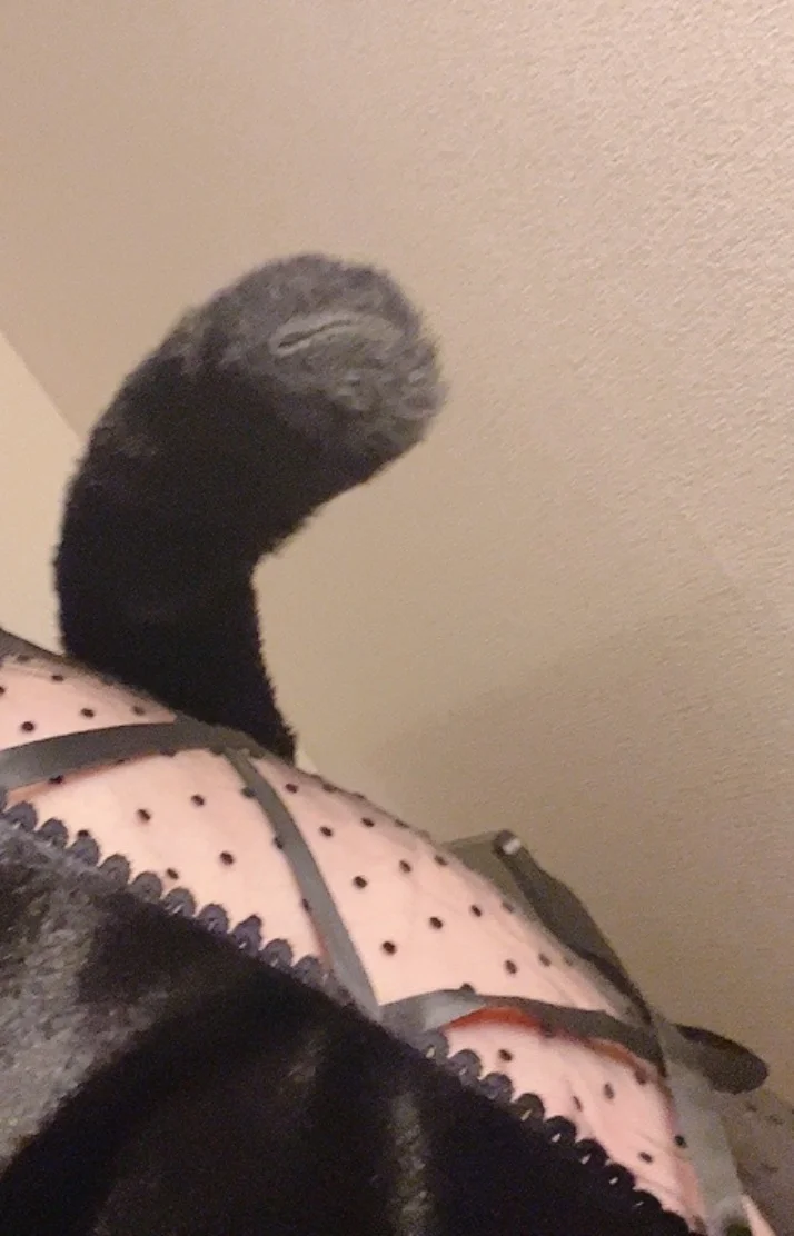 💗明日出勤💗